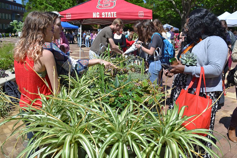 The Horticulture Club sells plants at the Earth Day Fair in the Brickyard on Monday, April 22. Among the plants being sold were spider plants and succulents.