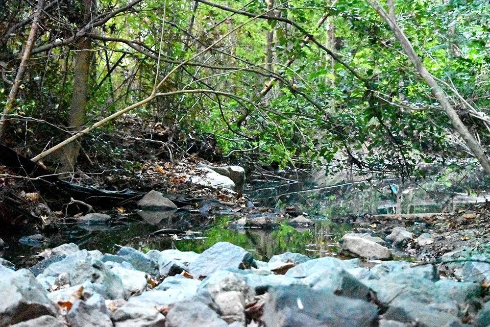 The creek located on the Rocky Branch Trail flows steadily on Saturday, Oct 12, 2019.