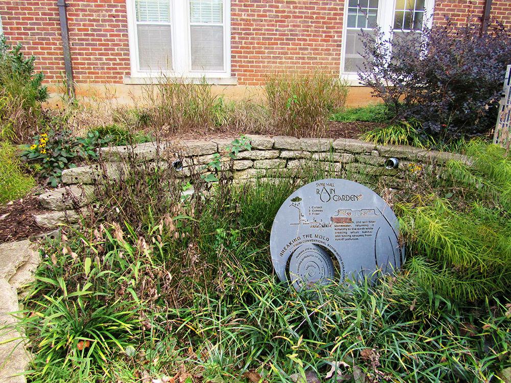 NC State students in the Design + Build Studio course of Spring 2019 transformed the space behind Syme Residence Hall, optimizing the area into a garden with 19 different plant species and various outdoor gathering spaces. On November 7, 2019 the hard work resulting in the garden behind Syme Residence Hall can still be seen clearly.