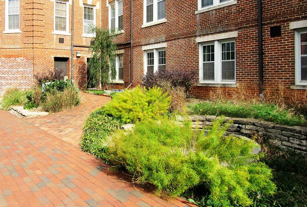 NC State students in the Design + Build Studio course of Spring 2019 transformed the space behind Syme Residence Hall, optimizing the area into a garden with 19 different plant species and various outdoor gathering spaces. On November 7, 2019 the hard work resulting in the garden behind Syme Residence Hall can still be seen clearly.
