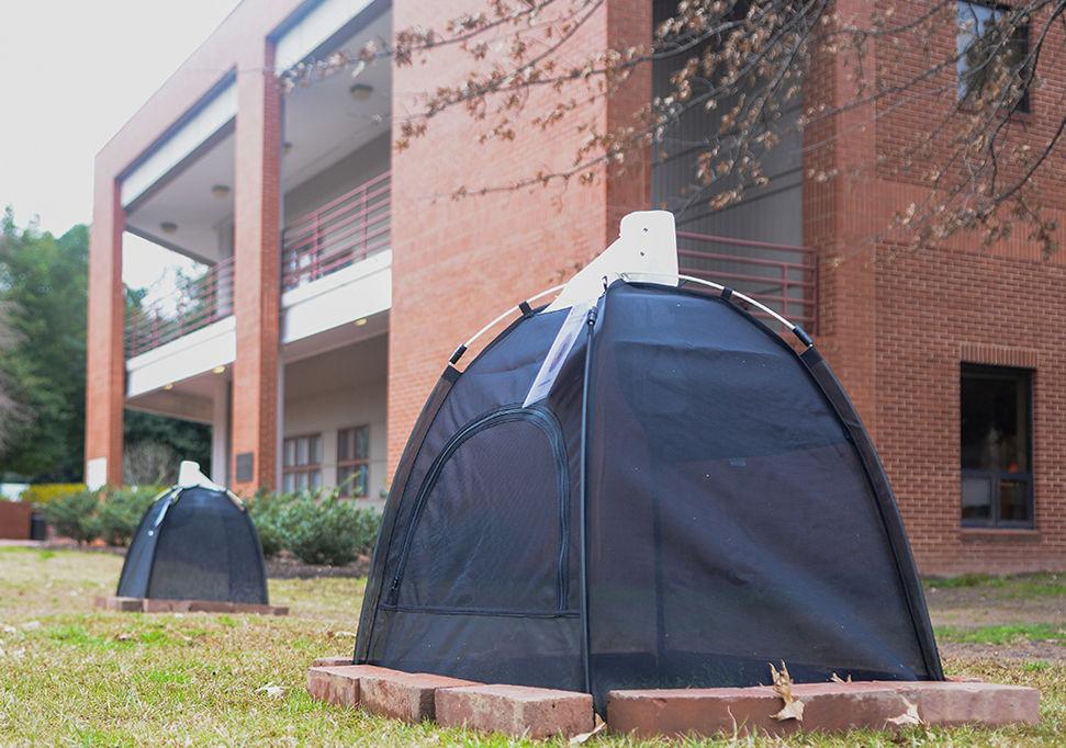 Little tents that help researchers collect data on different insects that emerge from the ground sit outside of the Career Development Center on Tuesday, Feb. 25, 2020. Researchers, comprised of students working along side NC State Grounds Services, visit the 26 tents placed around campus to collect data. The tents will be up until the end of the spring semester.