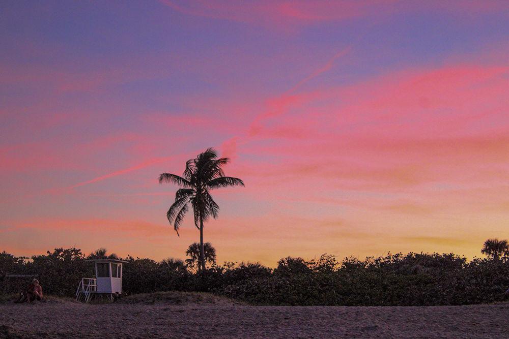 The sun sets behind the palm trees on Jensen Beach in Florida on Thursday, June 25, 2020.