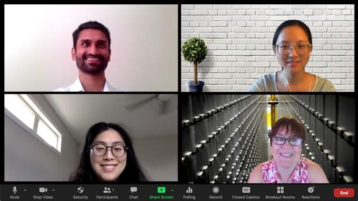 Libraries Data Science Consultants meet over Zoom.