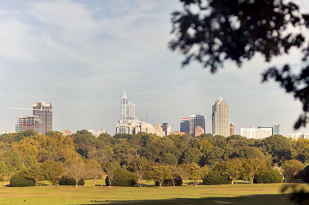 Downtown Raleigh stands on the horizon of Dorothea Dix Park on Oct. 31, 2017. The park was purchased by the City of Raleigh in 2015.