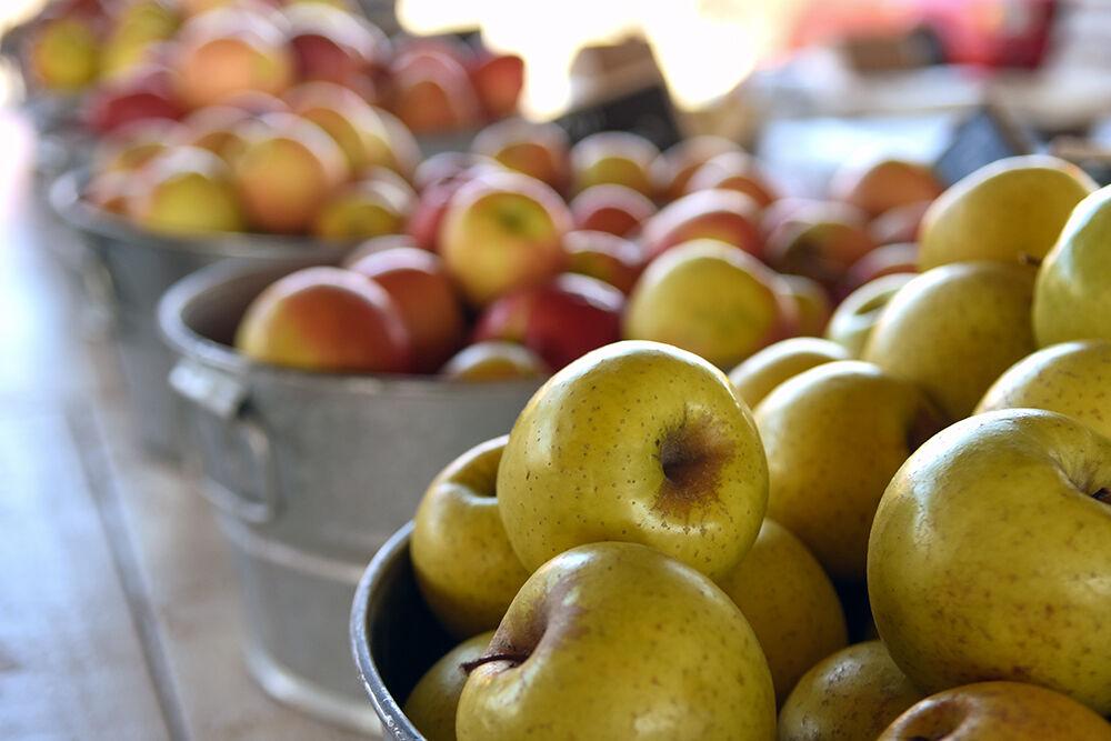 Sugarloaf Orchard has its colorful array of apples on display for shoppers at the Raleigh Farmers Market. The market is home to several local products ranging from freshly picked produce to North Carolina raised honey.