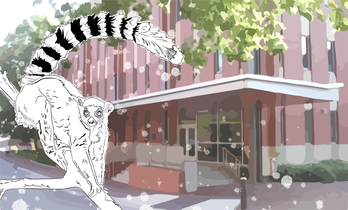 lemur graphic