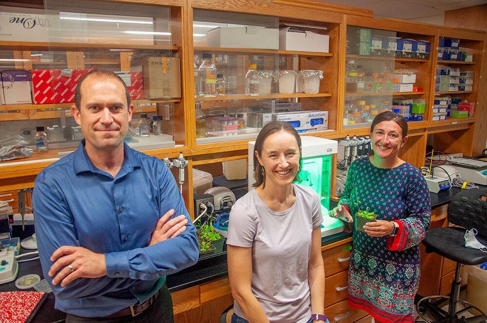 From left to right: Jacob Jones, Maude Cuchiara and Ross Suzzani