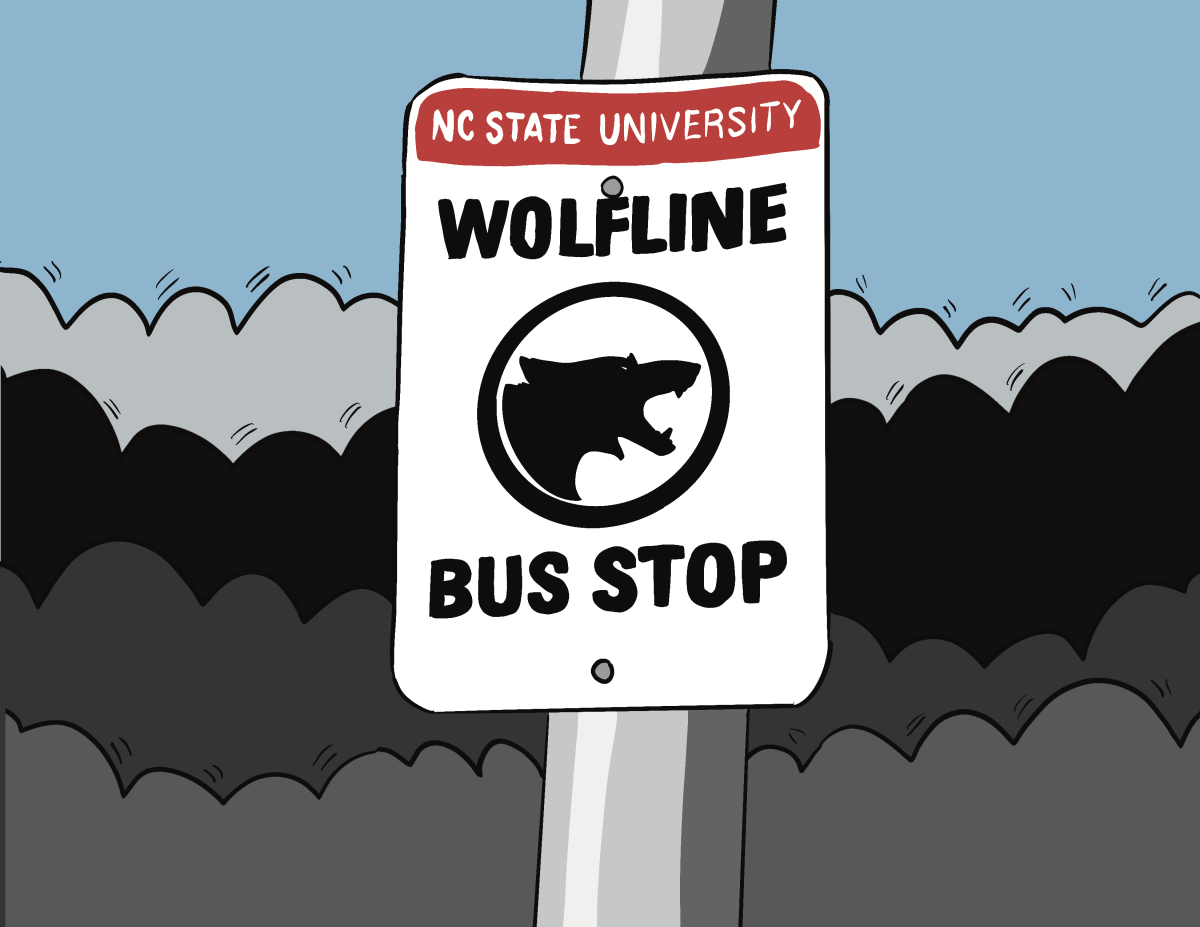 buses