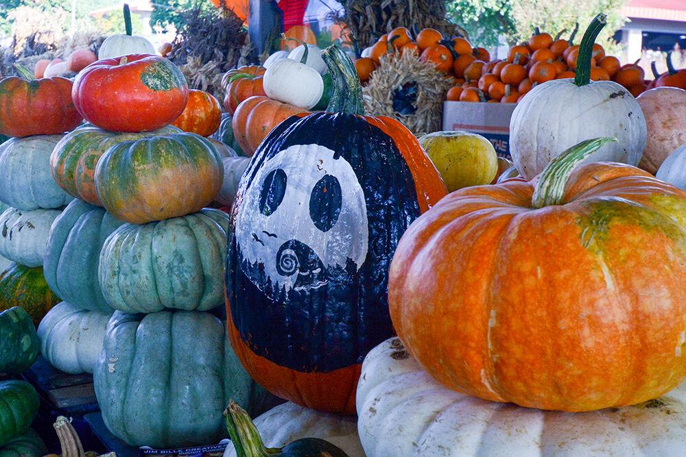 Amid the many stacks of pumpkins at the NC State Farmers Market on Tuesday, Sept. 28, 2021, there is one painted that has been inspired by the 1993 Tim Burton movie, The Nightmare Before Christmas. There was a variety of colors and sizes of pumpkins to choose from between all of the vendors at the Farmers Market.