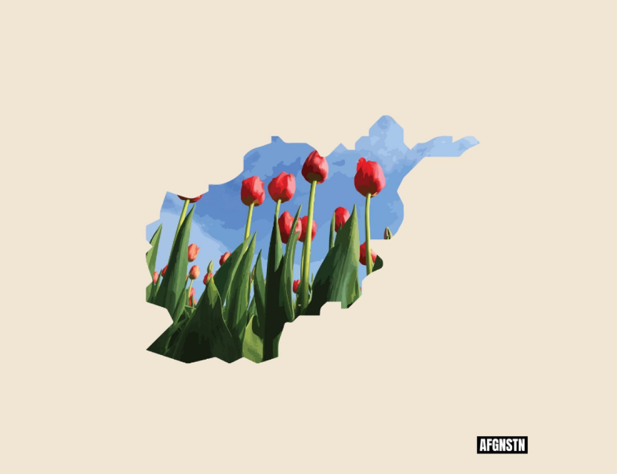 afgnstn graphic