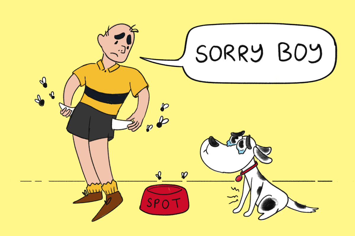 Students with no money for their pets graphic