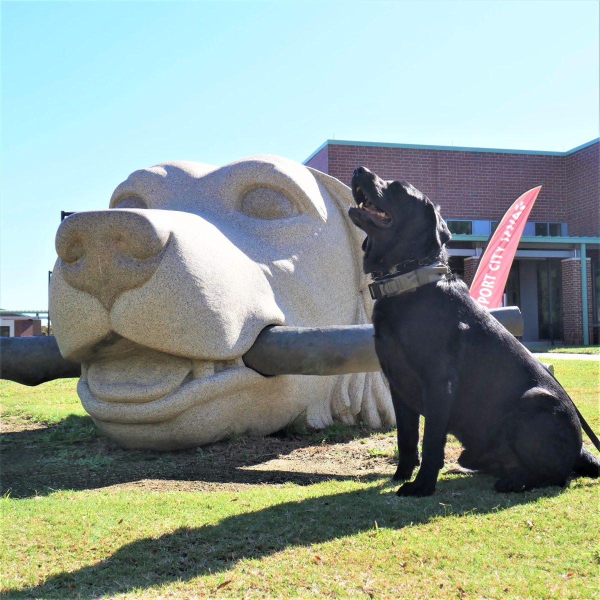 Ford K9