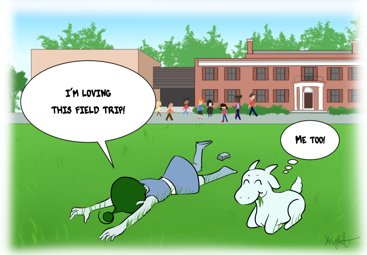 Nova and Comet- Field Trip