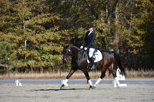 Devin Dolan rides his horse, Louis, at St. Andrews University.