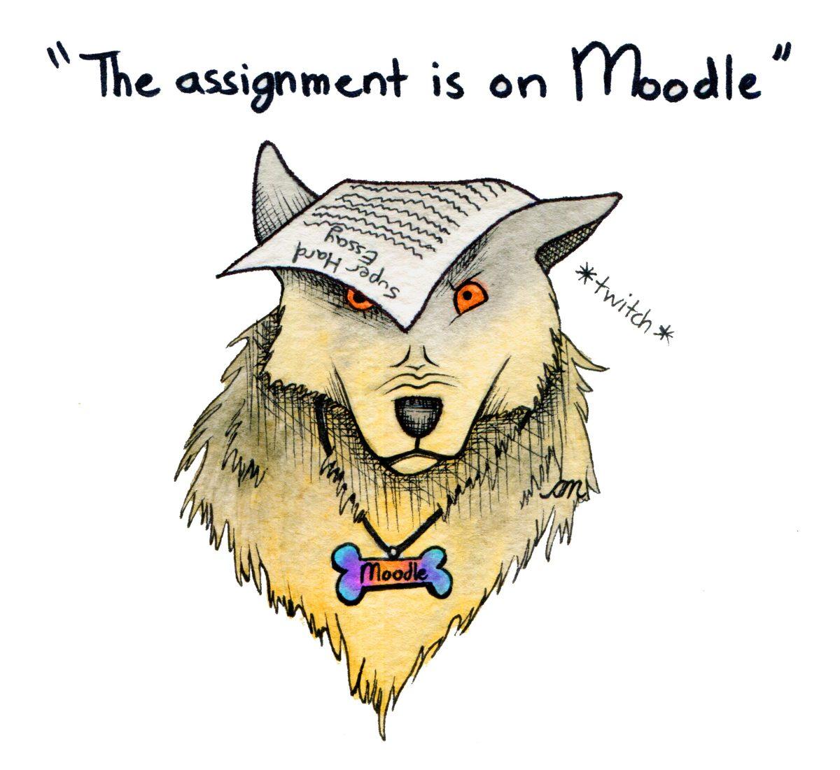 Assignment on Moodle