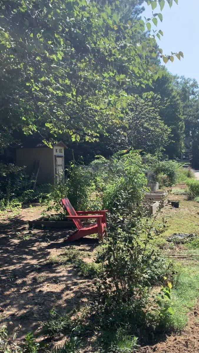 NC State&#8217;s student-led sustainable garden, SOL Garden, emphasizes importance of inclusivity