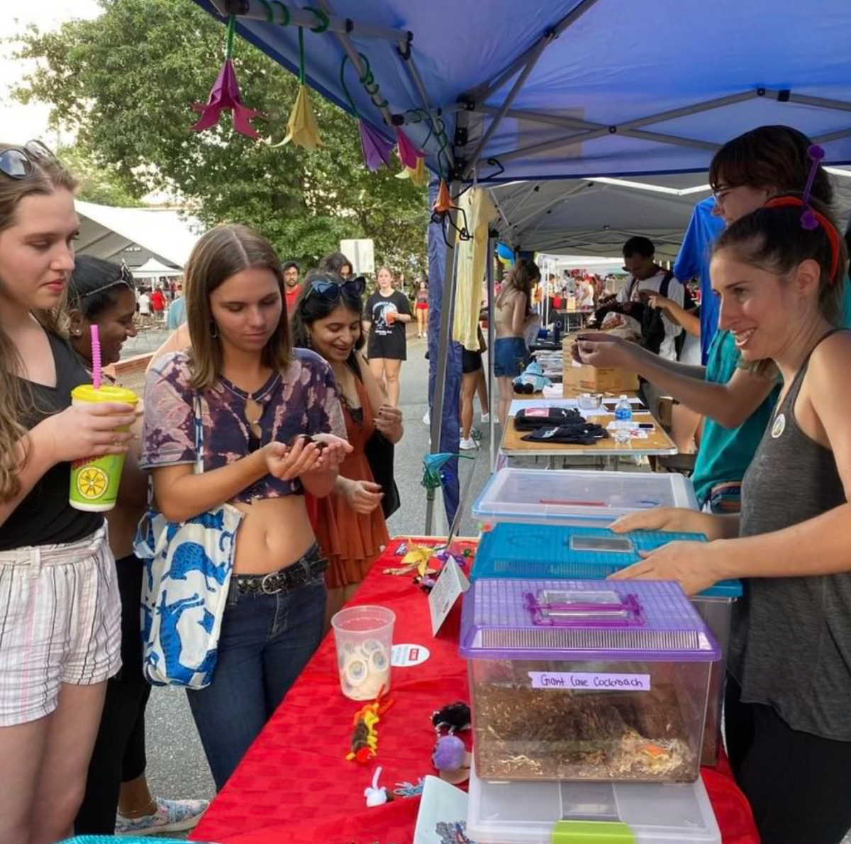 Entomology Graduate Student Association educates students about insects and arthropods