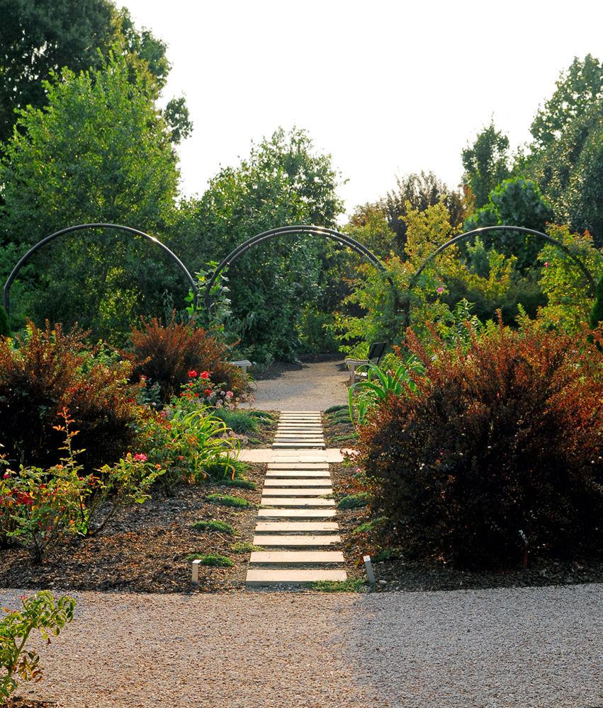 A pathway through a garden facilitates the display of seasonal flowering plants and shrubs at J.C. Raulston Arboretum on Aug. 26. J.C. Raulston Arboretum is both a garden and a research facility for faculty of NC State University. The gardens produce both flowering, nonflowering and fruit-bearing plant life.