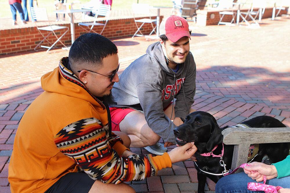 (On left) Dasier Cruz, a fourth-year studying civil engineering and Yehuda Feinstein, a fourth-year studying communication, pet Zala the therapy dog at Pause for Paws at Harris Field on Tuesday, Oct. 18, 2022.