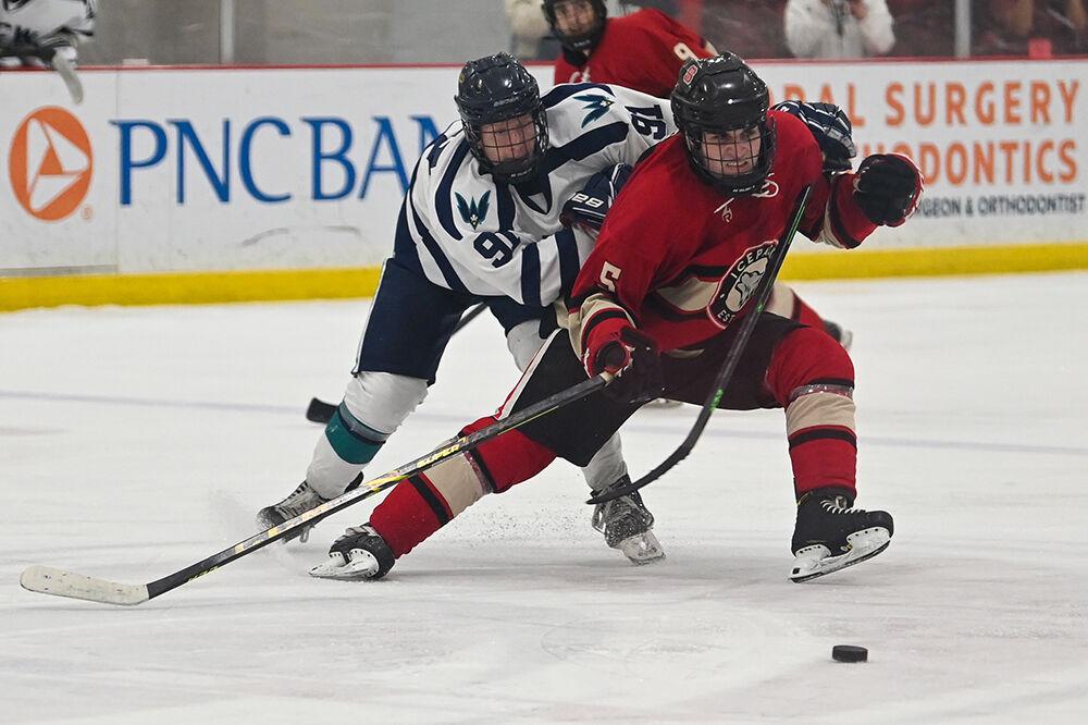 Senior defenseman Ricky Frosch fights for the puck during the game against UNC-Wilmington at Wake Competition Center on Friday, Oct. 14, 2022. The Icepack won 4-1.