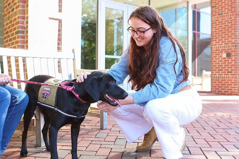 Mikaela McCarson, a fourth-year studying human biology, pets Zala the therapy dog at Pause for Paws at Harris Field on Tuesday, Oct. 18, 2022. The event was held by Prevention Services.