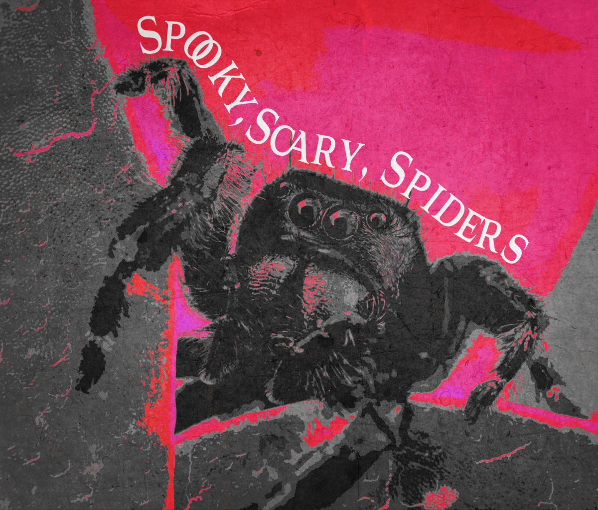63a52b27877f5c69eb8450b3ac40b7c3.png