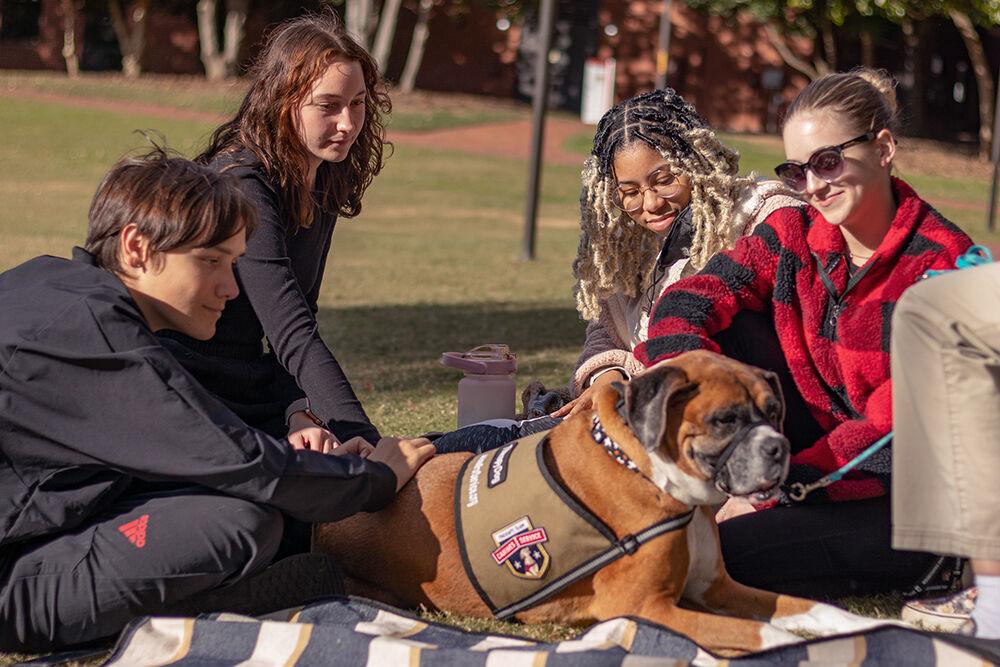 (From left) Lucas Carlton, a first-year student in exploratory studies, Jordan Lippe, a first-year student studying animal science, Cynthia Bilal, a graduate student studying art and design and Riley Batkin, a first-year student studying animal science, gives pets to eight-year-old boxer Milo at the Pause for Paws event at Harris Field on Tuesday, Oct. 18, 2022. Prevention Services organized the Pause for Paws event to help students relax and socialize.