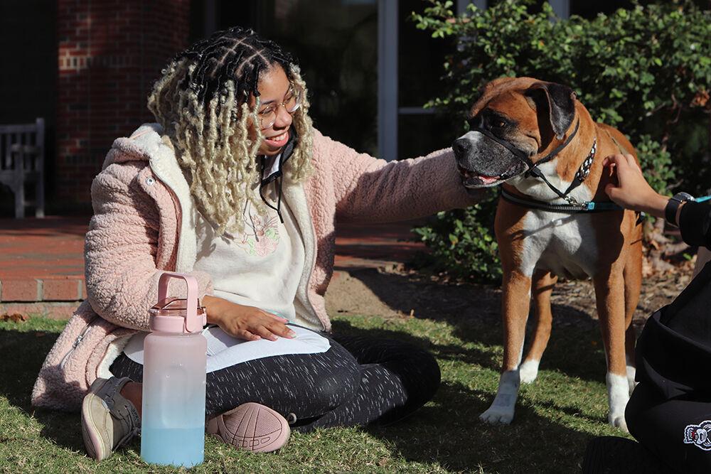 Cynthia Bilal, a graduate student studying art and design, pets Milo the therapy dog at Pause for Paws at Harris Field on Tuesday, Oct. 18, 2022. Prevention Services hosted this event and had therapy dogs visit.