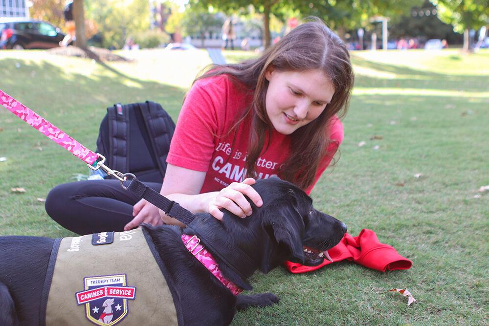 Carlin Spence, third-year studying psychology, pets Zala the therapy dog at Pause for Paws at Harris Field on Tuesday, Oct. 18, 2022.