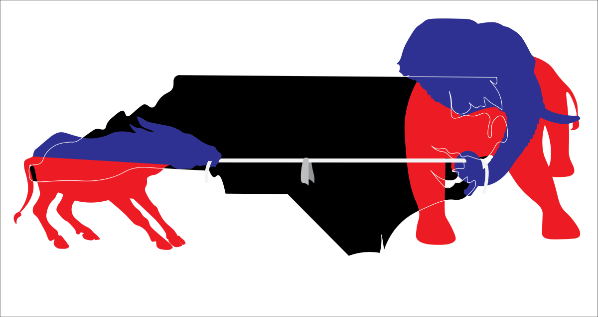 graphic for elections