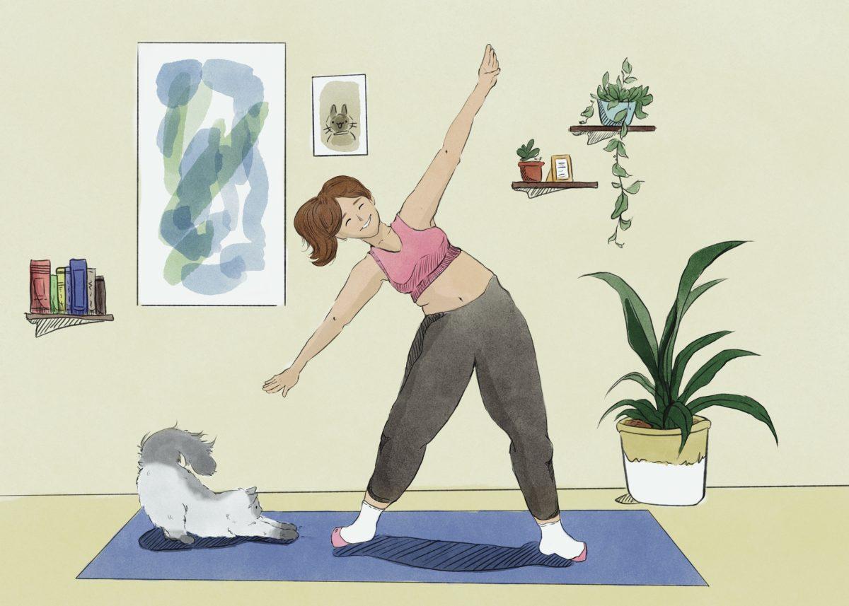 wellness 1/23
