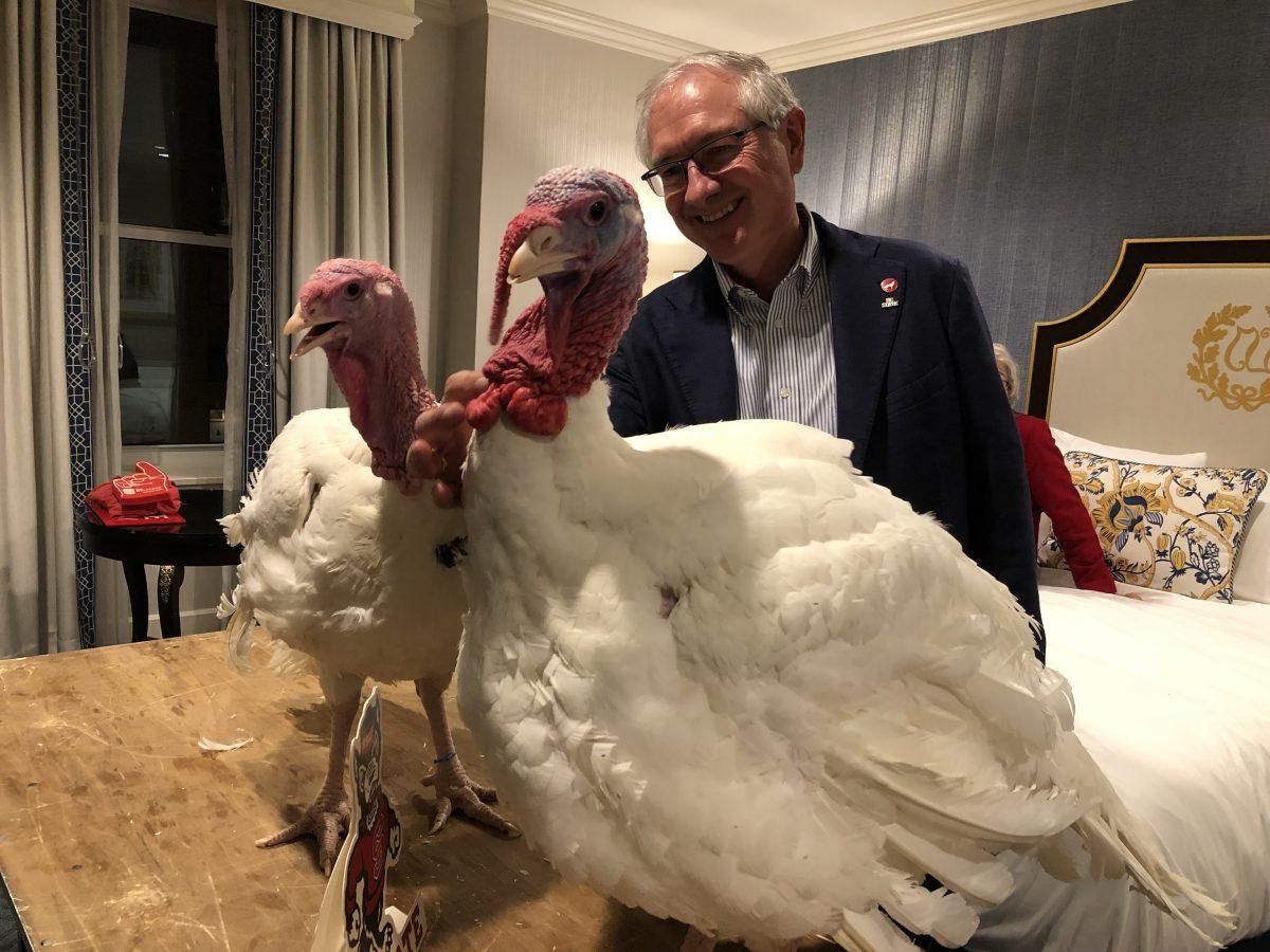 turkey