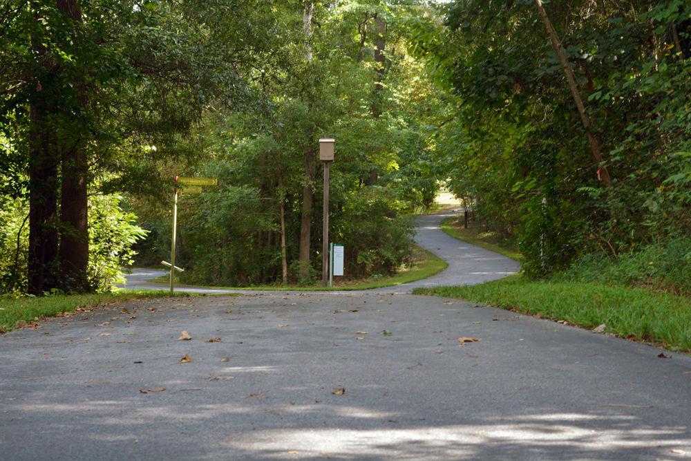 This fork in the Rocky Branch Trail leads to a major road as well as an all-ages park. Through the left path, Pullen Park awaits at the end. The right hand path leads directly to Western Boulevard.