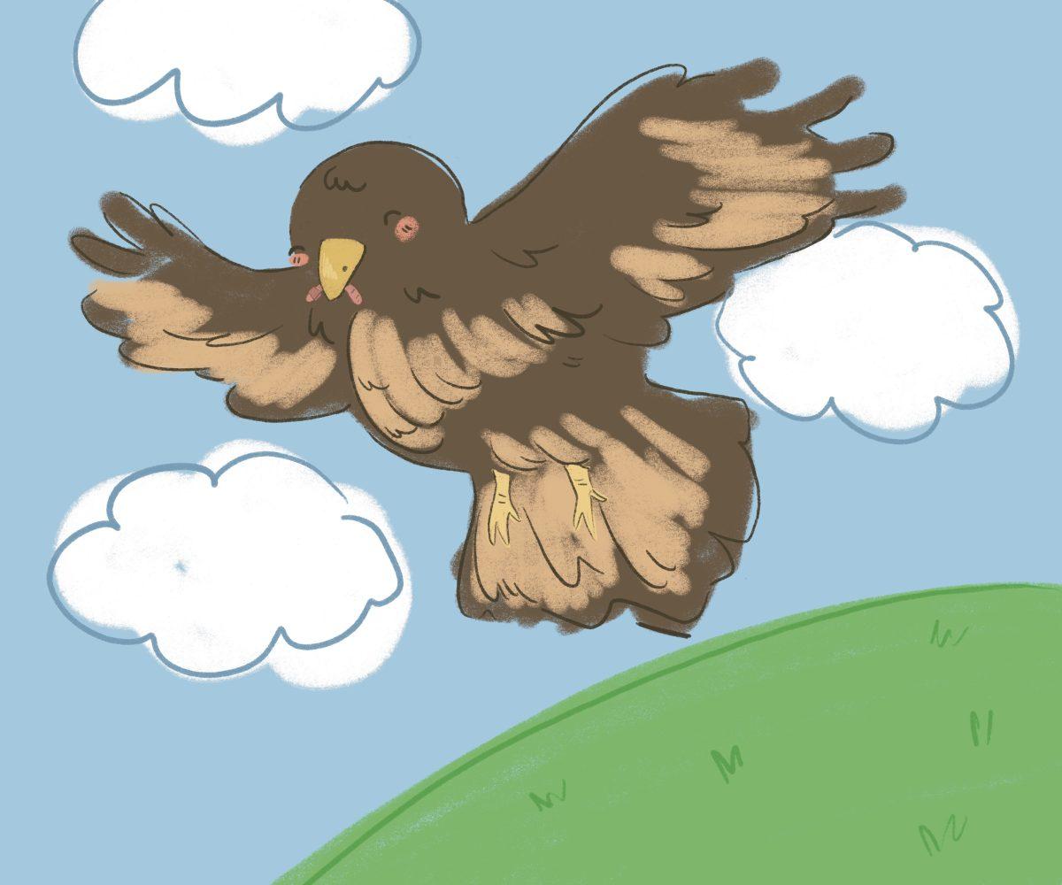 Bird flying graphic