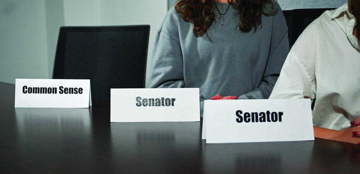 Senate Photo Illustrations