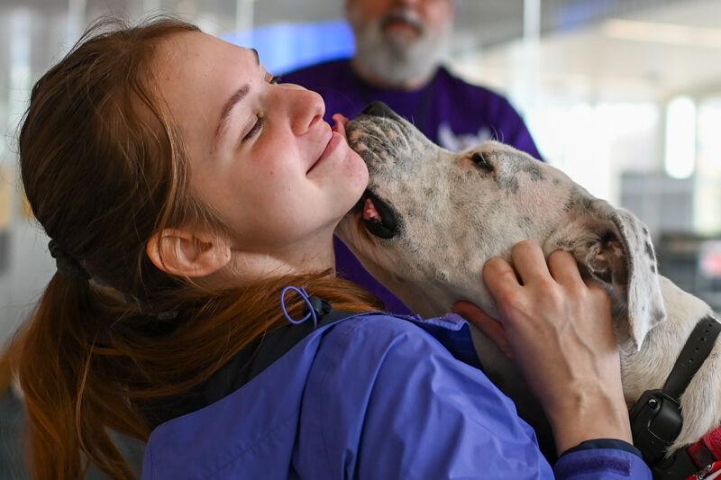 Allison Langston, a third-year studying horticulture, hangs out with Delilah the therapy dog during the Pause for Paws event hosted by NC State Prevention Services during Winter Welcome Week at the James B. Hunt Library on Wednesday, Jan. 10, 2024. Pause for Paws was hosted during the first week of spring semester to help students relieve stress and be comforted at the beginning of the new semester.