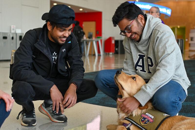 Sami MK and Mushtaq Shaikh, first-year Master's students studying computer science, take a break from classes by petting Star the therapy dog during the Pause for Paws event hosted by NC State Prevention Services during Winter Welcome Week at the James B. Hunt Library on Wednesday, Jan. 10, 2024. Pause for Paws was hosted during the first week of spring semester to help students relieve stress and be comforted at the beginning of the new semester.
