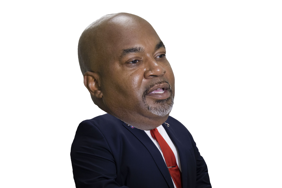 Mark Robinson Bobblehead