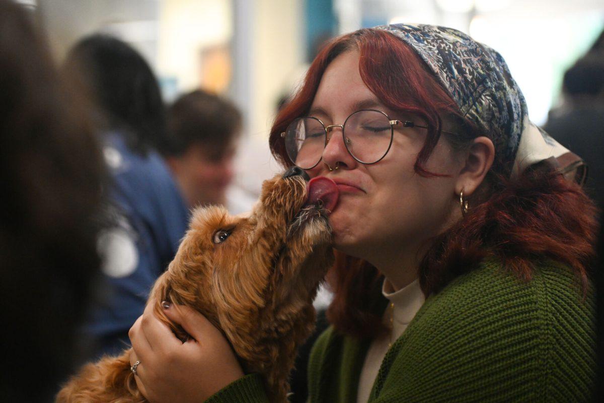 Service dog Belle licks the face of Bee Collins, a first-year studying zoology, at Pause for Paws at D.H. Hill Jr. Library on Tuesday, Sept. 17, 2024. Pause for Paws was an event organized by Prevention Services that allowed students to relax with therapy dogs.