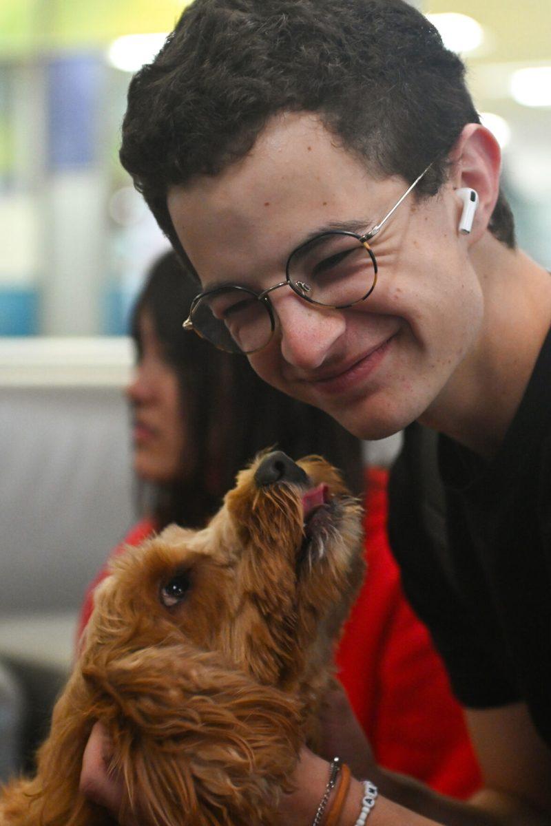 Service dog Belle looks up at Ellis Small, a second-year studying mechanical engineering, at Pause for Paws at D.H. Hill Jr. Library on Tuesday, Sept. 17, 2024. Pause for Paws was an event that allowed students to relax and de-stress with service dogs from Canines for Service.