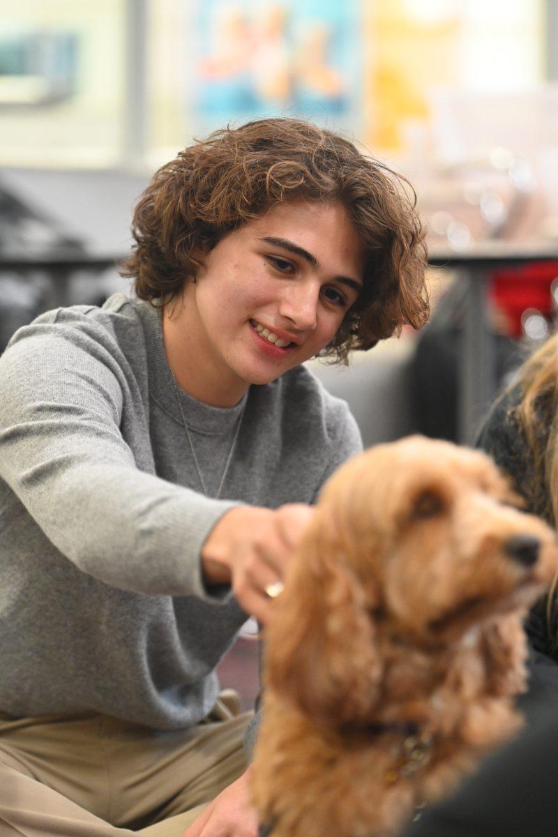 Ian Moran, a first-year engineering student, smiles while petting Belle at Pause for Paws at D.H. Hill Jr. Library on Tuesday, Sept. 17, 2024. Pause for Paws was an event that allowed students to relax and de-stress with service dogs from Canines for Service.
