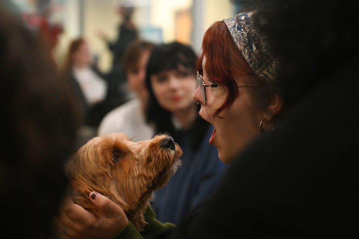 Bee Collins, a first-year studying zoology, holds service dog Belle at Pause for Paws at D.H. Hill Jr. Library on Tuesday, Sept. 17, 2024. Pause for Paws was an event that allowed students to relax and de-stress with service dogs from Canines for Service.