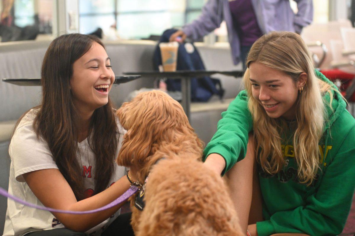 Delainey Quartucci, a first year studying psychology, and Amanda Talbott, a first-year studying political science, pet Belle at Pause for Paws at D.H. Hill Jr. Library on Tuesday, Sept. 17, 2024. Pause for Paws was an event that allowed students to relax and de-stress with service dogs from Canines for Service.