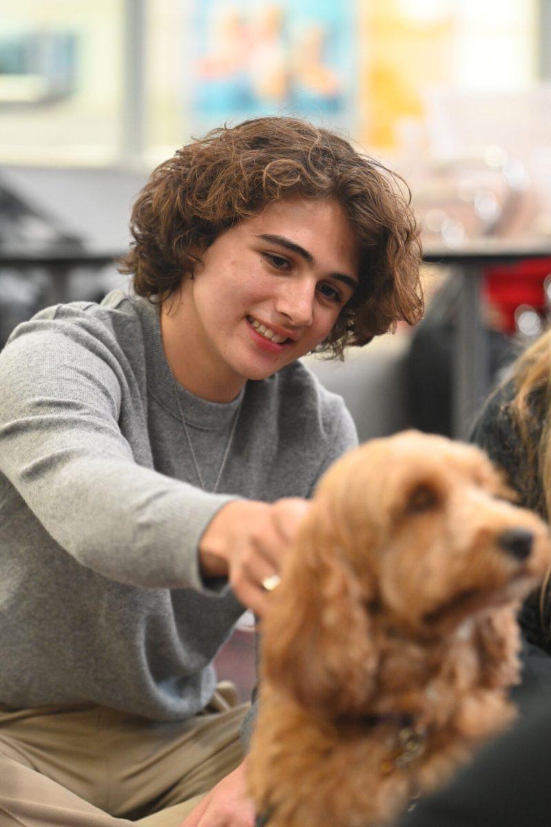 Ian Moran, a first-year engineering student, smiles while petting Belle at Pause for Paws at D.H. Hill Jr. Library on Tuesday, Sept. 17, 2024. Pause for Paws was an event that allowed students to relax and de-stress with service dogs from Canines for Service.