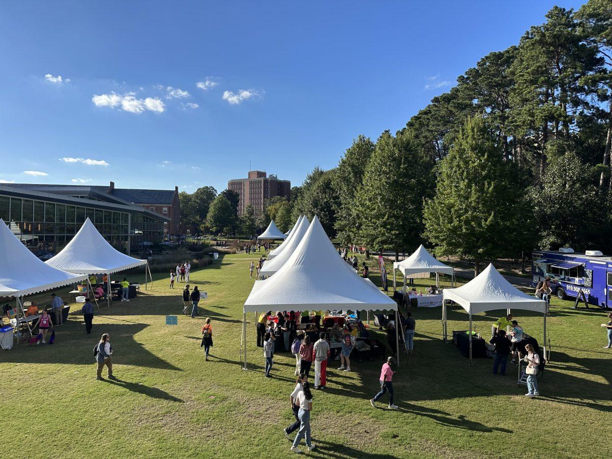 Pride Fest 2024. Photo by Elliott Jackson