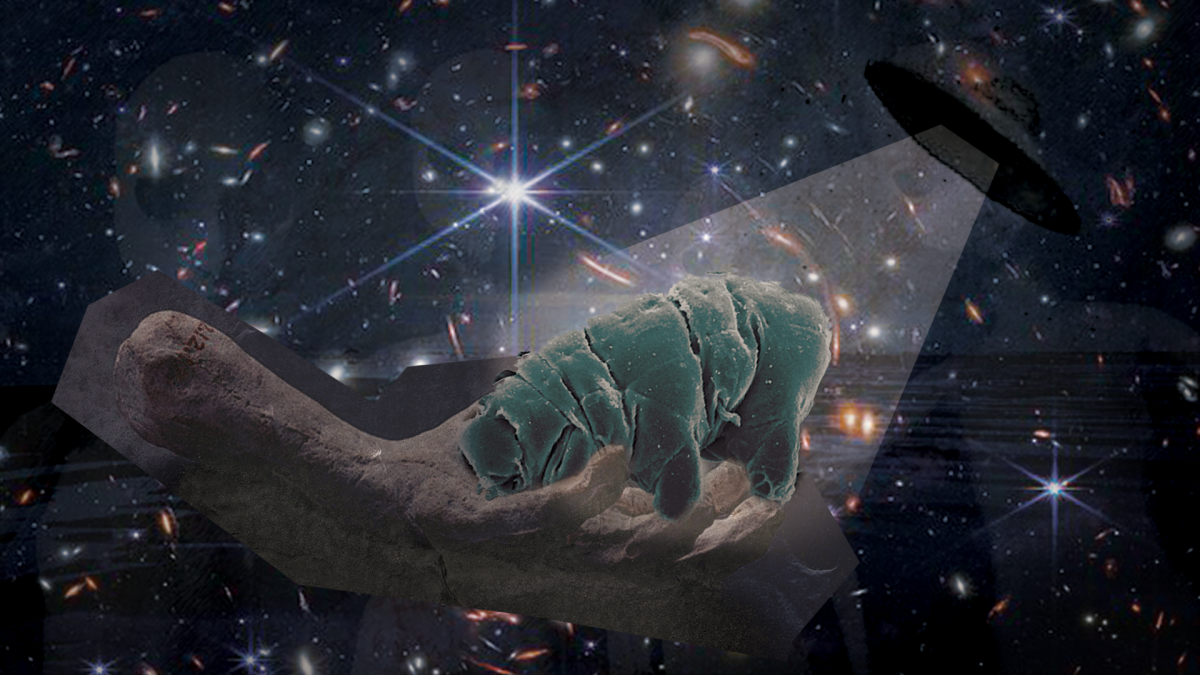 c3a66c89e9e00bb98a4cbafcefefc914.png