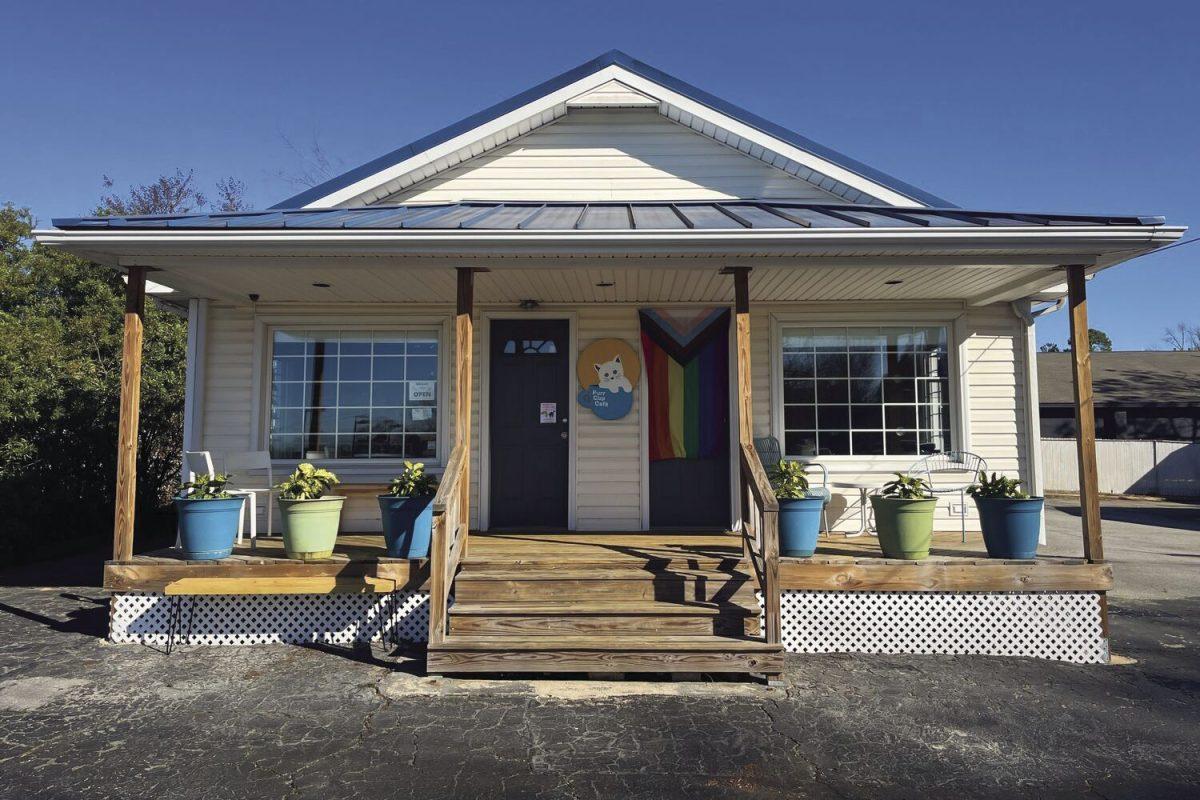 Pouring love into adoption: Raleigh’s first cat cafe