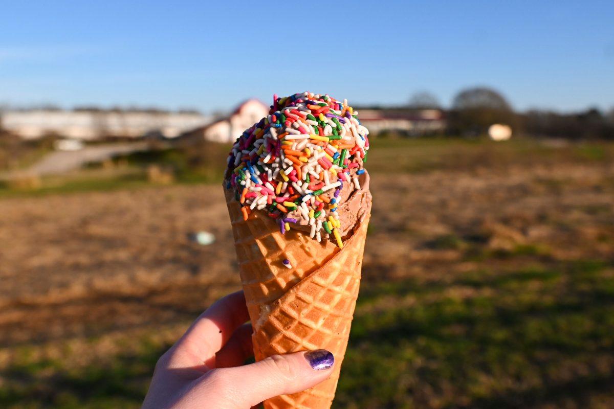 An ice cream cone topped with rainbow sprinkles is held up to the camera at the NC State Howling Cow Dairy Education Center and Creamery on Friday, Feb. 14, 2025. All of the ice cream produced and sold by Howling Cow is made using milk from the 300 cows in the Center's herd.