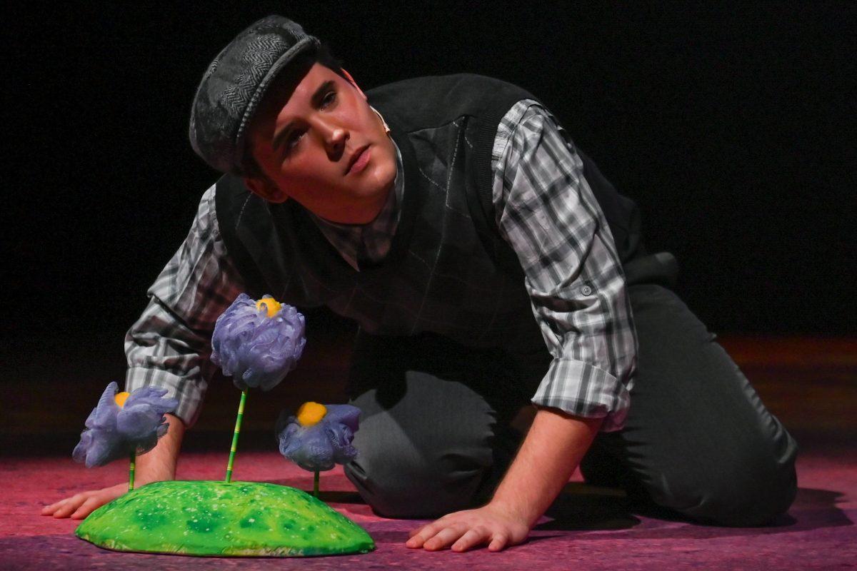 Alex Handest, a first-year in exploratory studies, plays Horton during a performance of "Seussical" in Stewart Theater on Tuesday, Feb. 18, 2025. "Seussical" is runs from Feb. 20-23. The performance is based on various works by Dr. Seuss and is directed by Mia Self, assistant director of acting and directing at University Theater.