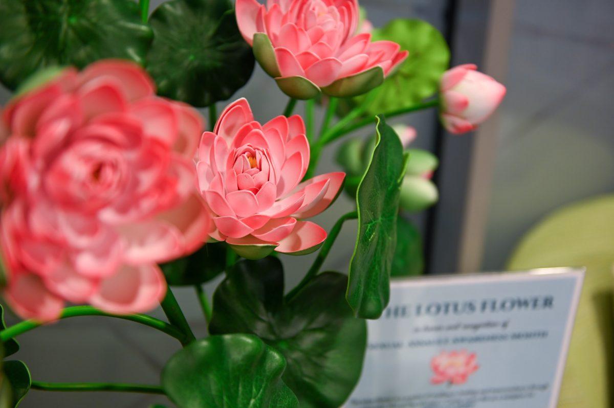 A lotus flower display in the Women's Center on Tuesday, March 25, 2025. The lotus flower is a representation of strength and hope for survivors of sexual assault.&#160;